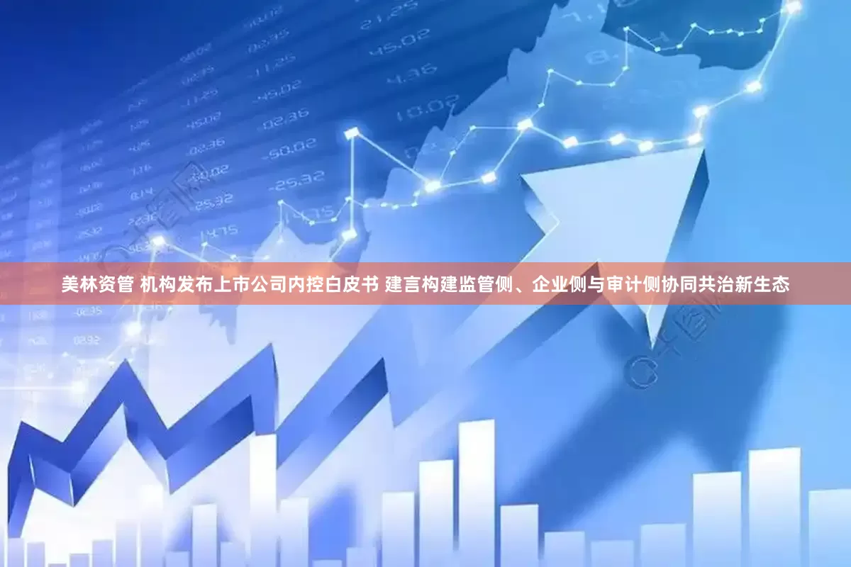 美林资管 机构发布上市公司内控白皮书 建言构建监管侧、企业侧与审计侧协同共治新生态
