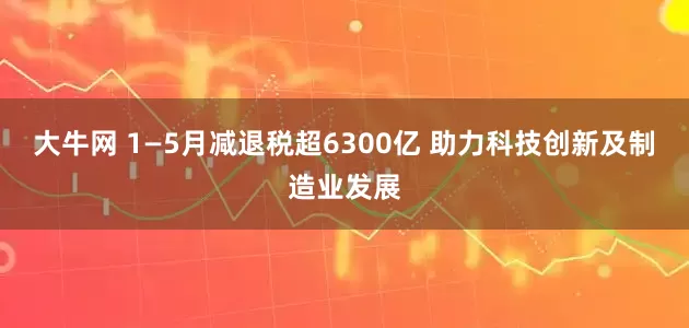 大牛网 1—5月减退税超6300亿 助力科技创新及制造业发展