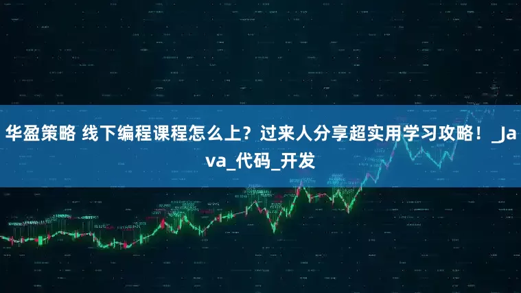 华盈策略 线下编程课程怎么上？过来人分享超实用学习攻略！_Java_代码_开发