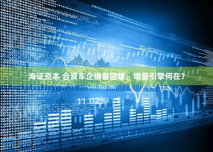 海证资本 合资车企销量回暖，增量引擎何在？