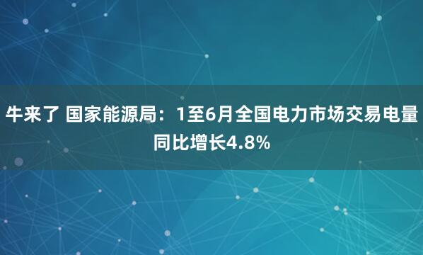 牛来了 国家能源局：1至6月全国电力市场交易电量同比增长4.8%