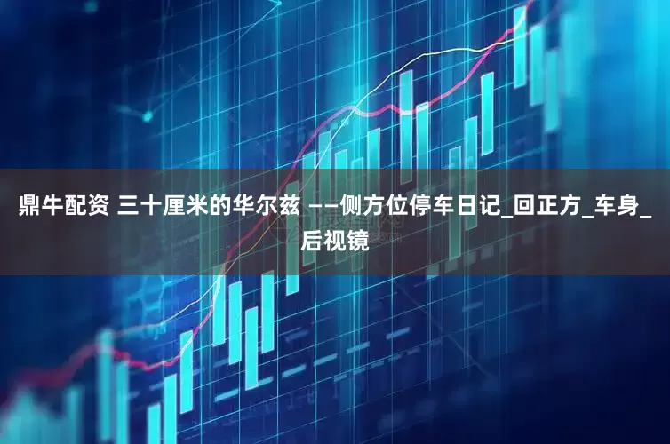 鼎牛配资 三十厘米的华尔兹 ——侧方位停车日记_回正方_车身_后视镜