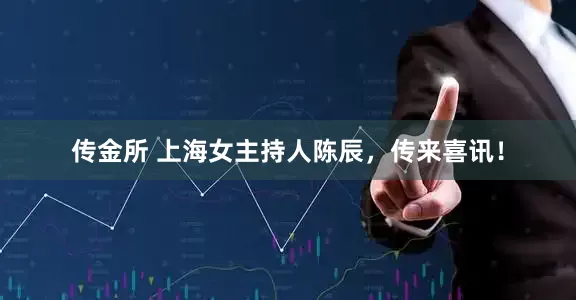 传金所 上海女主持人陈辰，传来喜讯！