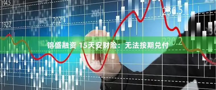 镕盛融资 15天安财险：无法按期兑付